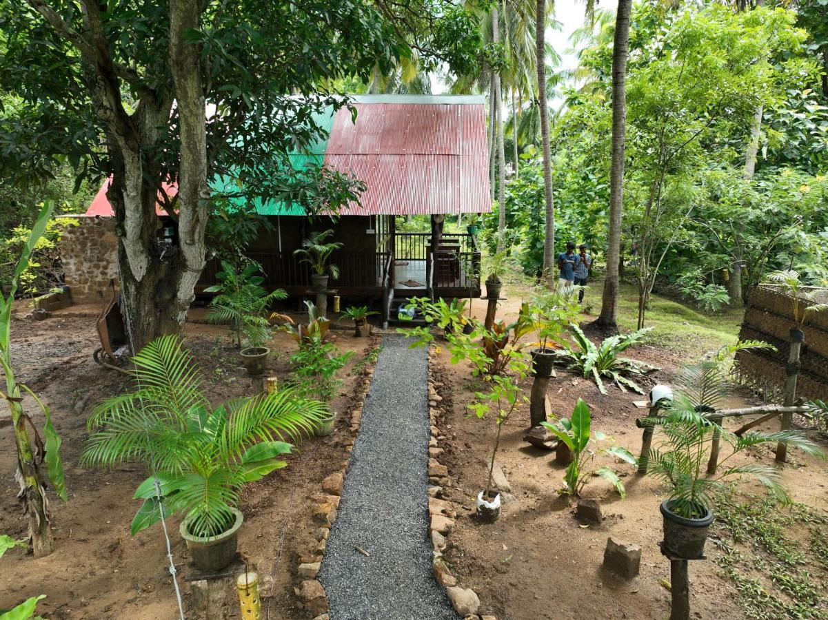 Готель Coconut Tree House Удавалаве Екстер'єр фото